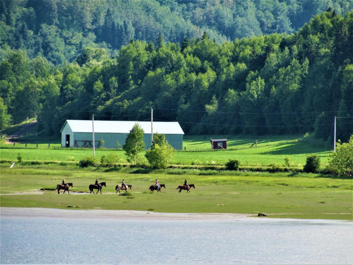 Panoramique Du Fjord LʼAnse-Saint-Jean Exterior foto